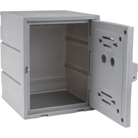 Locker, 15" x 15" x 18", Grey, Assembled Checker Industrial Ltd.