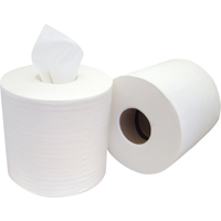 Wipers, Wipes & Rags