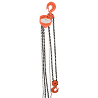 Chain Hoist, 10' Lift, 1000 lbs. (0.5 tons) Capacity, Alloy Steel Chain Checker Industrial Ltd.