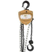 Heavy-Duty Gold Series Chain Hoist, 10' Lift, 1000 lbs. (0.5 tons) Capacity, Alloy Steel Chain Checker Industrial Ltd.