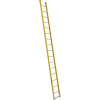 Single Section Straight Ladder - 6100 Series, 16', Fibreglass, 375 lbs., CSA Grade 1AA Checker Industrial Ltd.