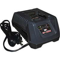 18 V Fast Lithium-Ion Battery Charger Checker Industrial Ltd.