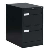 Vertical Filing Cabinet with Recessed Drawer Handles, 2 Drawers, 18.15" W x 26.56" D x 29" H, Black Checker Industrial Ltd.