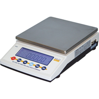 Precision Scales, 5000 g Cap., 0.1 g Graduations Checker Industrial Ltd.