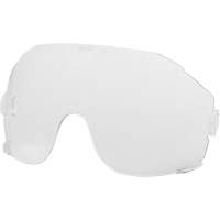 Eye Visor Replacement Lenses, Clear Tint Checker Industrial Ltd.