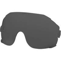 Eye Visor Replacement Lenses, Grey/Smoke Tint Checker Industrial Ltd.