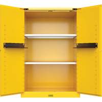 Armoire de s&eacute;curit&eacute; pour produits inflammables Utili-Guard+, 45 gal., 2 Porte(s), 43" La x 65" h x 22" p Checker Industrial Ltd.