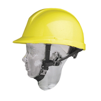 North&reg; Hardhat Chinstrap Checker Industrial Ltd.