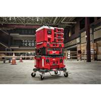 Packout Compact Cooler, 16 qt. Capacity Checker Industrial Ltd.
