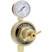 Inert Gas Guard Regulators-447 Series Pipeline Checker Industrial Ltd.