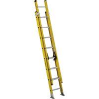 Extension Ladders