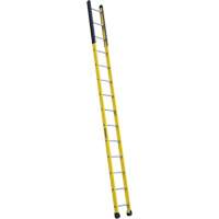 Single Manhole Ladder, 14', Fibreglass, 375 lbs., CSA Grade 1AA Checker Industrial Ltd.