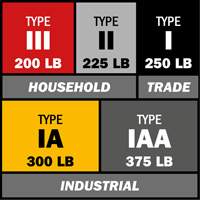 Step Ladder with Paint Tray, 10', Aluminum, 225 lbs. Capacity, Type 2 Checker Industrial Ltd.
