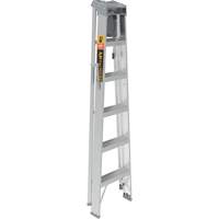 Step Ladder with Paint Tray, 6', Aluminum, 225 lbs. Capacity, Type 2 Checker Industrial Ltd.