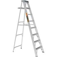 Step Ladder with Paint Tray, 8', Aluminum, 225 lbs. Capacity, Type 2 Checker Industrial Ltd.