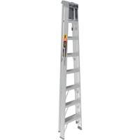 Step Ladder with Paint Tray, 8', Aluminum, 225 lbs. Capacity, Type 2 Checker Industrial Ltd.