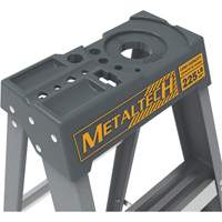 Step Ladder with Paint Tray, 6', Fibreglass, 225 lbs. Capacity, Type 2 Checker Industrial Ltd.