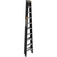 Step Ladder with Paint Tray, 10', Fibreglass, 250 lbs. Capacity, Type 1 Checker Industrial Ltd.