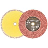 QUICK-STEP FLEX, 5" x Type 29, 40 Grit, Aluminum Oxide Checker Industrial Ltd.