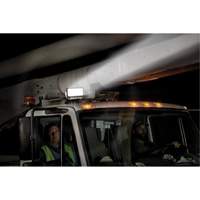 Ensemble d'&eacute;clairage orientable polyvalent &agrave; t&eacute;l&eacute;commande, DEL, 4250 lumens Checker Industrial Ltd.