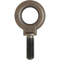 Eye Bolt, 3/4" Dia., 1" L, Uncoated Natural Finish, 650 lbs. (0.325 tons) Capacity YC119 | Checker Industrial Ltd.